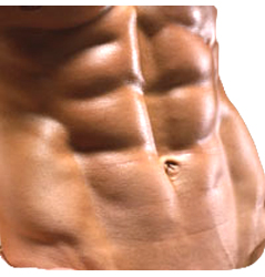 Six Pack Abs One Week : Female Six Pack Abs Are Prospective With These Exercises